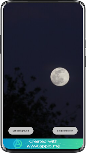 Moon Night Wallpaper