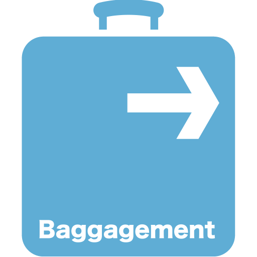 Baggagement driver Изтегляне на Windows
