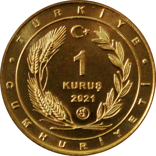 Coins of Turkey logo