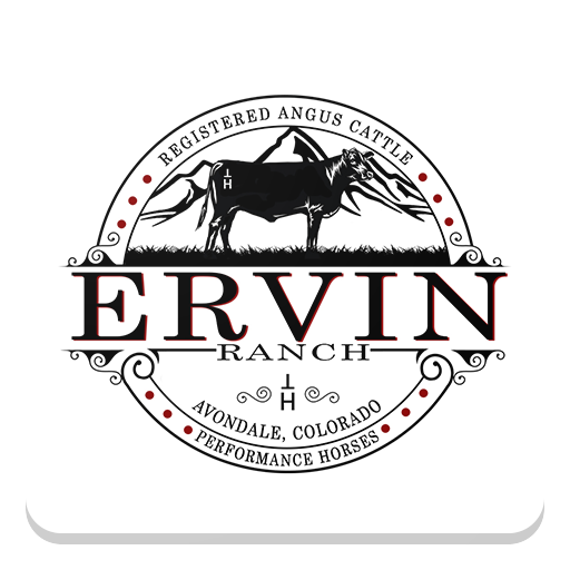 High Desert Horse Sales logo
