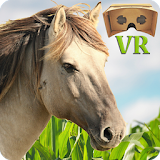 VR Horse Ride icon