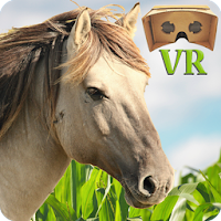 VR Horse Ride