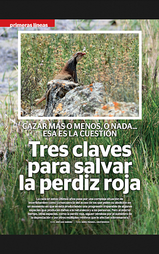 Federcaza Revista Screen 3