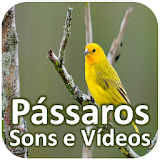 Pássaros - Sons e Vídeos icon