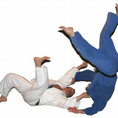 Judo techniques