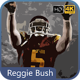 HD Reggie Bush Wallpapers icon