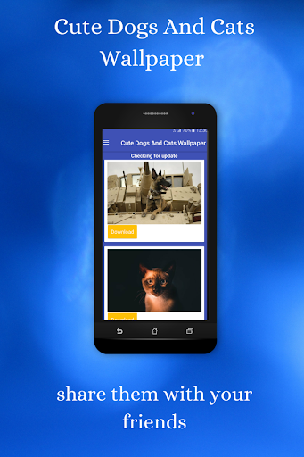 cute dogs and cats wallpaper