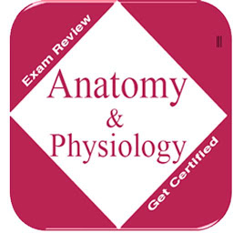 Icon image Anatomy & Physiology: N & Q