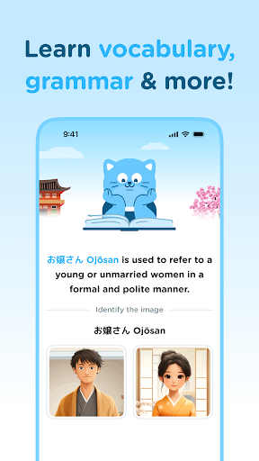Screenshot of Airlearn - Learn Languages
