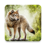 1000 Wolf Wallpapers icon