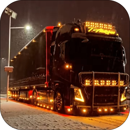 Truck Parking 3D Truck Games