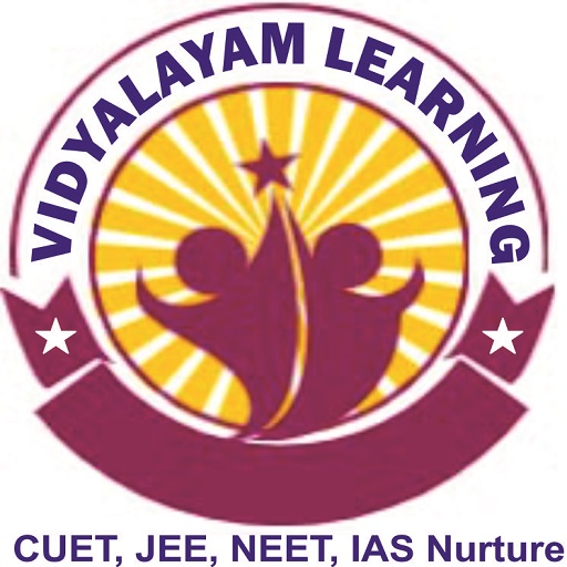 Vidyalayam Learning logo