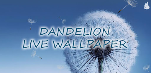 Dandelion Live Wallpaper - Apps on Google Play