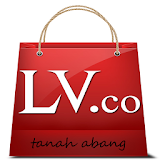 LV.co icon