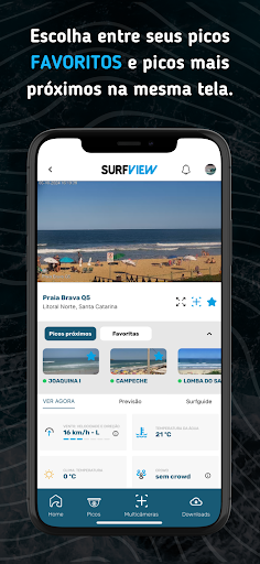 SurfView screenshot 2