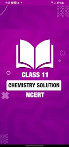 11 class chemistry solution