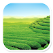 Garden Wallpaper - Androidアプリ