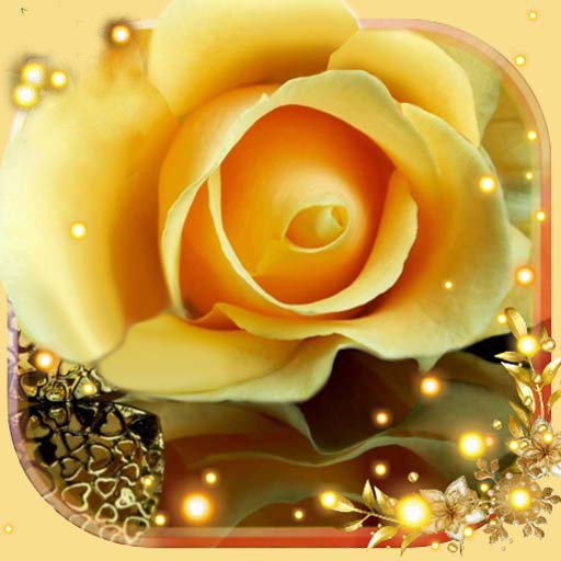 Roses Gallery Live Wallpaper  Icon
