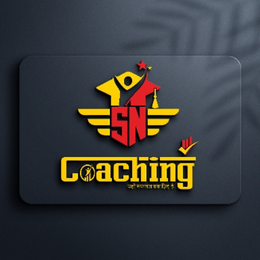 SN Coaching logo