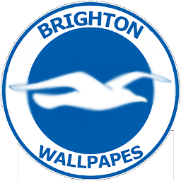 Brighton wallpaper: Download & Review
