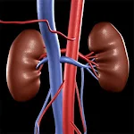 Cover Image of Télécharger Nephrology Assisstant Free  APK