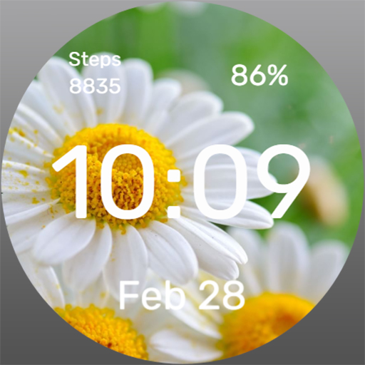 Daisies in meadow - Watch Face Download on Windows