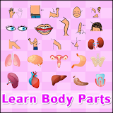 Learn body parts (Free) icon