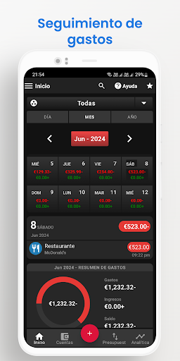 Vista previa de la aplicación