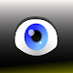Ocular Gymnastics Auf Windows herunterladen