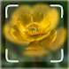 Flower ID: Flower Identifier - Androidアプリ