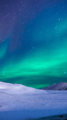 Winter Wallpapers Screen 3