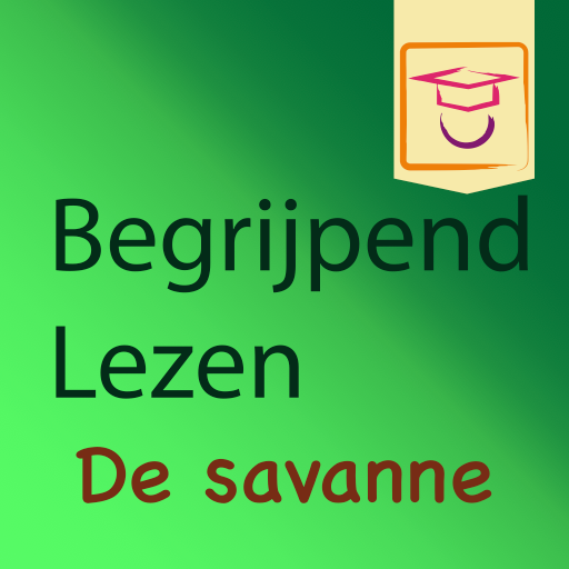 Begrijpend Lezen 