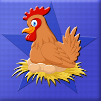 Broody Hen Escape