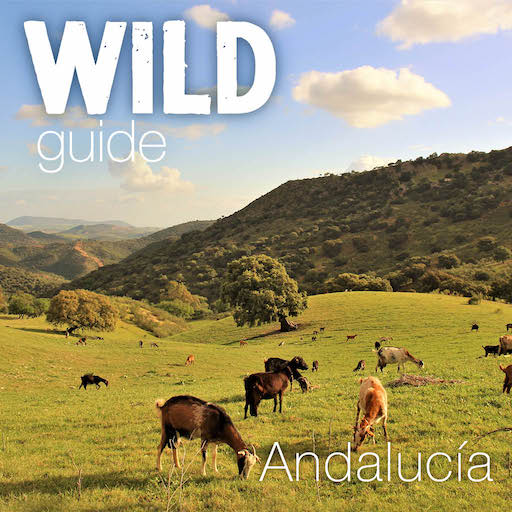 Wild Guide Andalucia 4.7.3 Icon