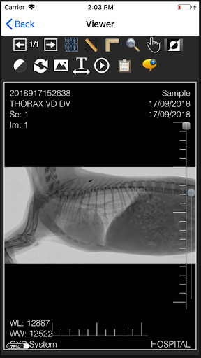 Prime VET Screen 2
