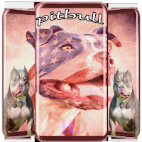 Pitbull Wallpaper Dog Backgro