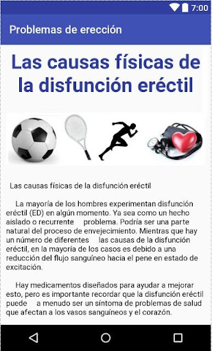 Vista previa de la aplicación