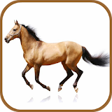 Horse Breeds Database icon