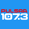 Pulsar 107.3 icon