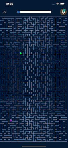 Maze - Labyrinthe Game Search Screen 2