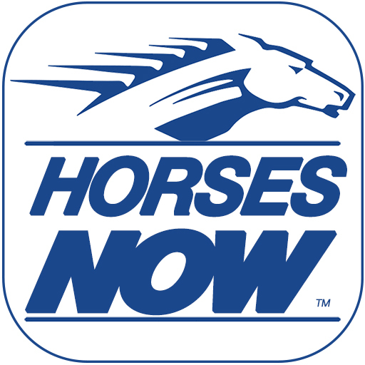 Horses Now 3.3.8 Icon