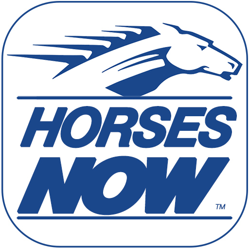 Horses Now  Icon