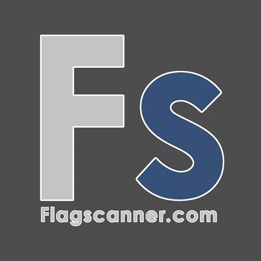 Flagscanner  Icon