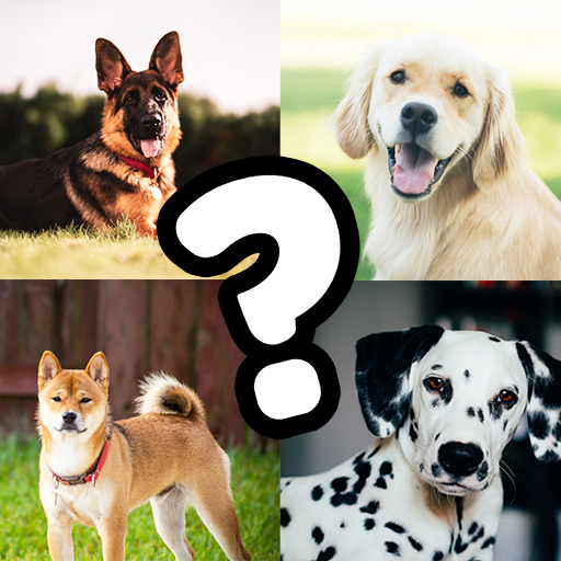 Guess the Dog Breeds Quiz 1.5.0 Icon