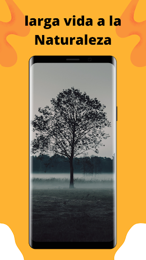 La Naturaleza Viva Screen 3