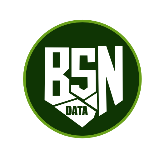 BSN DATA logo