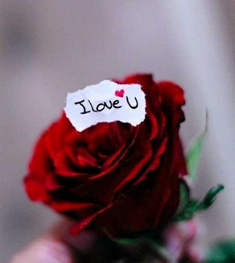 Download Love Images 21 I Love You Free For Android Love Images 21 I Love You Apk Download Steprimo Com
