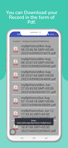 Blood Pressure Dairy