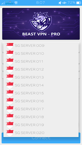 BEAST VPN - PRO