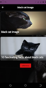 black cat image